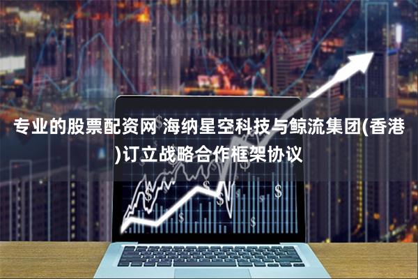 专业的股票配资网 海纳星空科技与鲸流集团(香港)订立战略合作框架协议