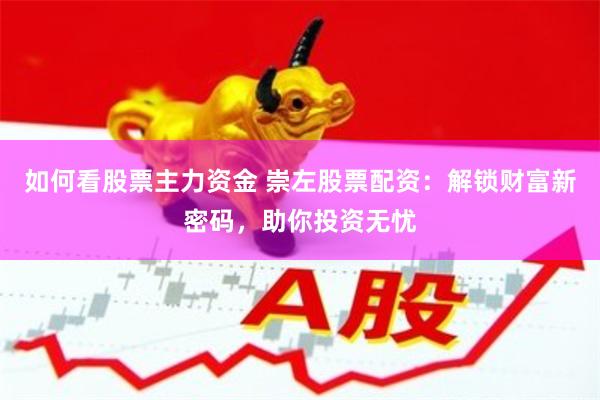 如何看股票主力资金 崇左股票配资：解锁财富新密码，助你投资无忧