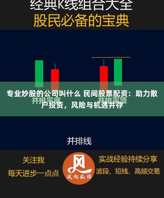 专业炒股的公司叫什么 民间股票配资：助力散户投资，风险与机遇并存