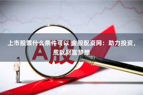 上市股票什么条件可以 金股配资网：助力投资，成就财富梦想