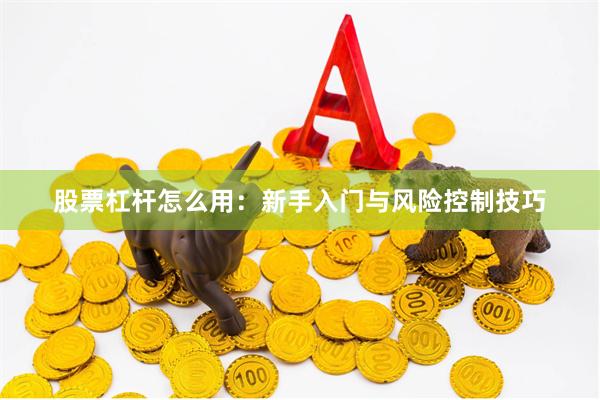 股票杠杆怎么用：新手入门与风险控制技巧