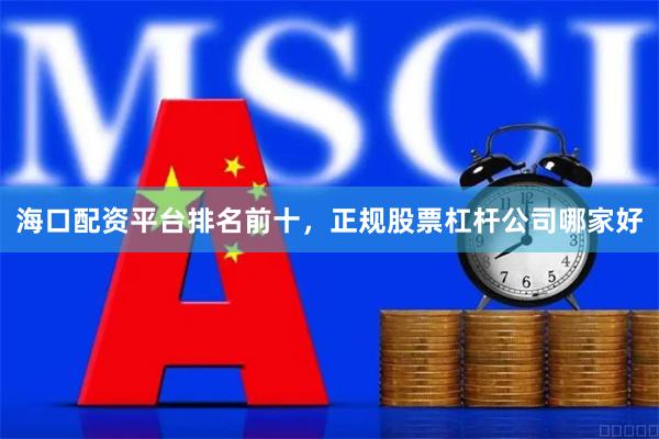 海口配资平台排名前十，正规股票杠杆公司哪家好